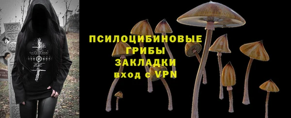 apvp Инта