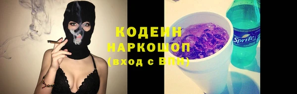 apvp Инта