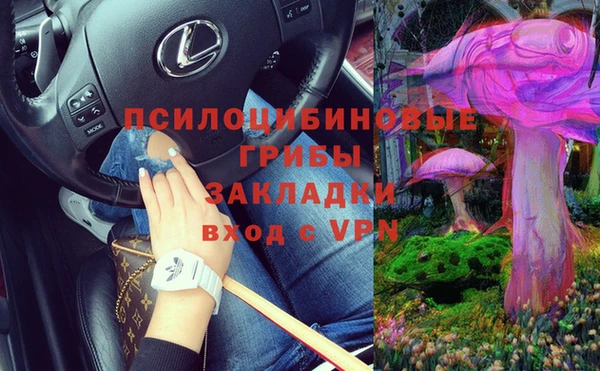 apvp Инта
