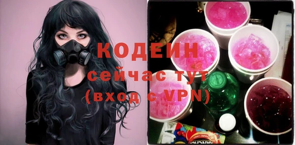 apvp Инта