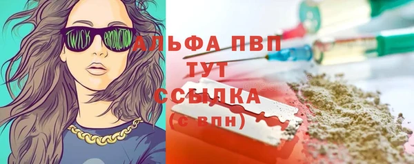 apvp Инта