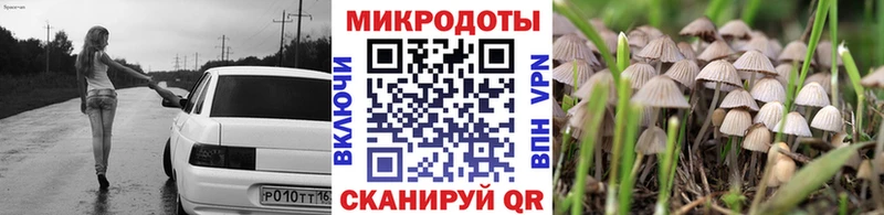Купить  Гороховец  Галлюциногенные грибы Cubensis 